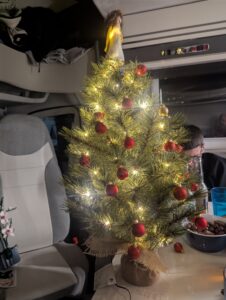 Christbaum im Wohnmobil